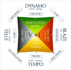 Wealth Profile, the Entrepreneur's Profile created by Roger James Hamilton
